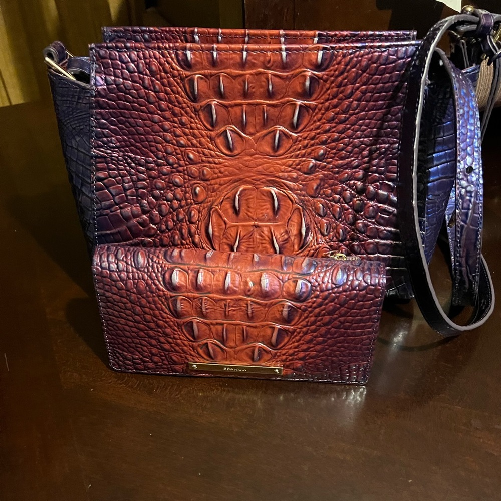 Brahmin Hillary Ombré Melbourne pocket with matching.